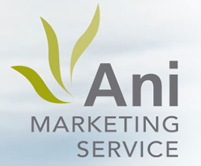 Ani Marketing Service