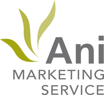 Ani Marketing Service